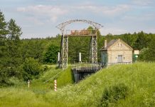 Ligęza: ROJENIE HORYZONTALNE