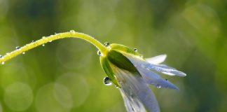 Michalinka: Szczęśliwe momenty w nieszczęśliwym życiu