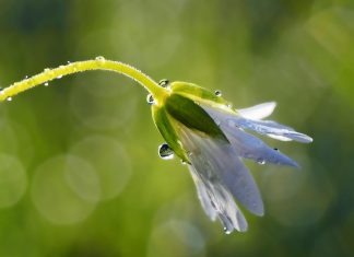 Michalinka: Szczęśliwe momenty w nieszczęśliwym życiu