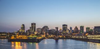 Michalinka: Literatura sci fi w wydaniu codziennym