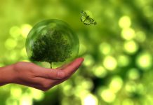 W Dzień Ziemi weź zwolnienie z pracy na eko-depresję