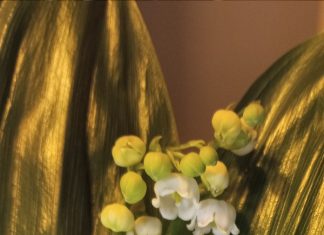 Michalinka: Zapachy wiosny, zapachy życia