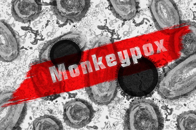 monkey-pox-7217582_640
