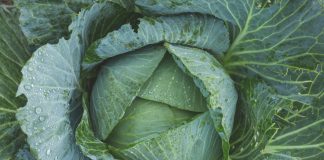 Ligęza: WYKROSZCZENIE