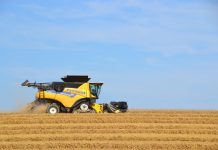 Kanada pomoże w ratowaniu ukraińskiego zboża i w walce z głodem