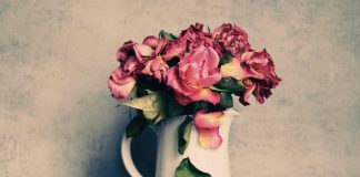 Michalinka: Powinnaś mu podziękować, że cię w końcu zostawił – część 2