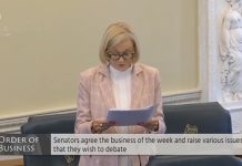 Irlandzcy politycy bronią praw Irlandczyków w Kanadzie, a polscy?!