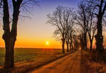 Polską ziemię najczęściej kupują Niemcy