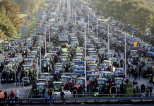 Masowe protesty w Holandii przeciwko absurdom polityki rządu