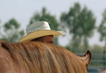 Polityk w kowbojskim kapeluszu jest bardziej przekonujący