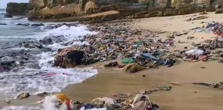 Farmus: Ubrania umarłego faceta