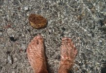 Michalinka: Wszystko płynie (panta rhei) na wspak