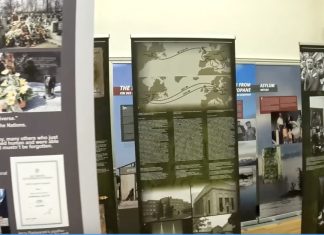 Kumor: Wożenie drewna do lasu?