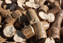 Kanadyjskie drzewa z lasów pierwotnych przerabiane na pellet dla Brytyjczyków