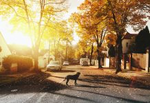 Trochę taniej, ale dalej drogo