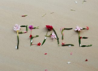 Michalkiewicz: W rajskiej dziedzinie ułudy