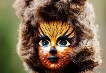 Członek kuratorium Renfrew potwierdza, że niektórzy uczniowie „identyfikują się” jako zwierzęta