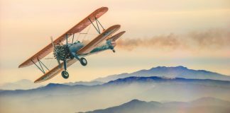 Ligęza: POKAZUJTA WÓJTA