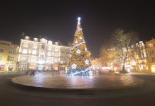 W Edmonton choinki nie będzie