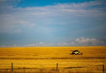 Alberta szuka sposobów na zablokowanie federalnego wymogu zrezygnowania z aut spalinowych na terenie prowincji