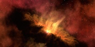 Ligęza: NIEPORADNIA