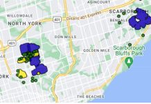 Zwierzę spowodowało awarię zasilania w części Toronto