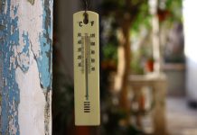 Ligęza: GŁUPOCENIE MAS