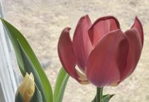 Michalinka: Co nas nie zabije to nas wzmocni?