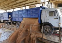 Polska nadal będzie pozwalać na tranzyt ukraińskiego zboża