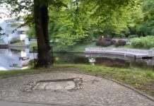 W Rydze usunięto pomnik Puszkina