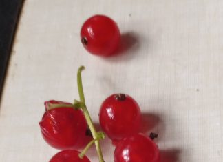 Michalinka: Napój królewski z klejnocikami