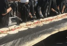 Rekordowy falafel wrap