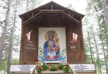 Listy i petycje w sprawie Katedry pod Sosnami – wyraź swoją opinię!