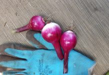 Z negatywizmu można umrzeć