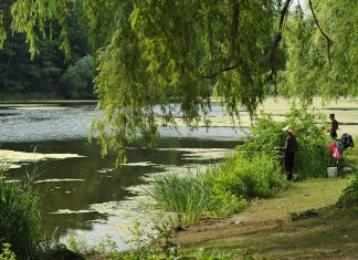 Farmus: Gry i zabawy uliczne w Toronto i okolicy