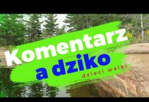 Oazy dobrego wychowania