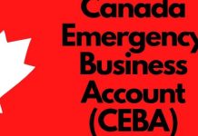 Premierzy apelują o przedłużenie okresu CEBA