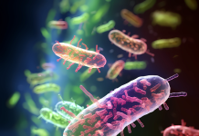 Bakterie z odchodów znów zanieczyszczają wodę .