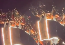 Zawieszeni głową w dół w Wonderlandzie