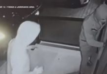 Ontario: Zawieszanie praw jazdy dla złodziei samochodów