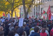 Olbrzymi wiec poparcia dla Palestyńczyków w Toronto