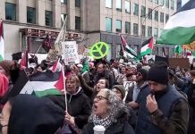 Niedziela: kolejny masowy wiec propalestyński w Toronto fot. X