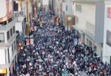 Kolejny wielki propalestyński protest w Toronto