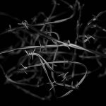 Marcin Janowski: Totalitarne przepoczwarzanie Unii Europejskiej