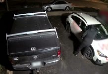 Wrzucili głowę kozy przez okno