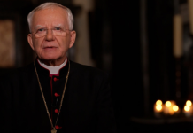 Uroczystość Wszystkich Świętych. Orędzie abp Marka Jędraszewskiego