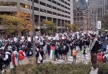 Kolejny propalestyński wiec w Toronto