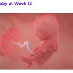 APEL KATOLICKIEGO STOWARZYSZENIA LEKARZY POLSKICH