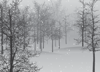 Michalinka: Trzaskający mróz? Nie tylko