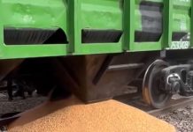 MICHALKIEWICZ: “Haniebna zbrodnia” i w dodatku grzech